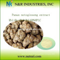 Panax notoginseng Extrakt Rb1 + Rc + Rb3 + Rd&gt; 60% HPLC